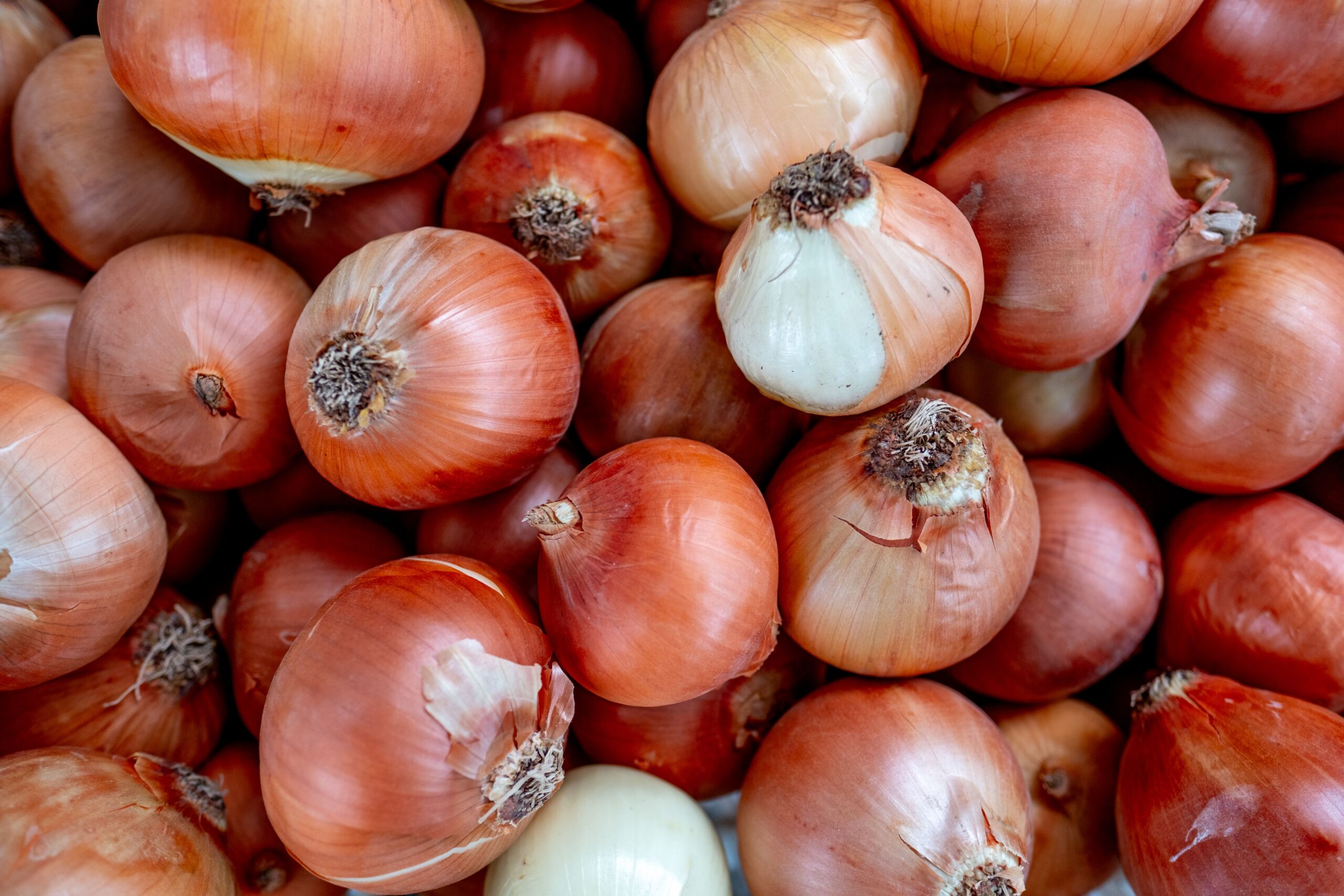 A pile of fresh onions displayed at a market stall in İzmir, Türkiye, showcasing vibrant colors.
