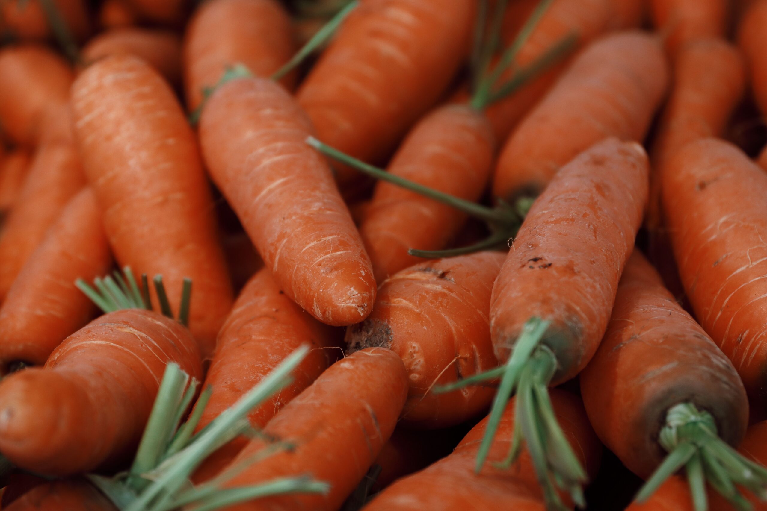 A close-up shot of fresh carrots at a market in Porto, Portugal.
