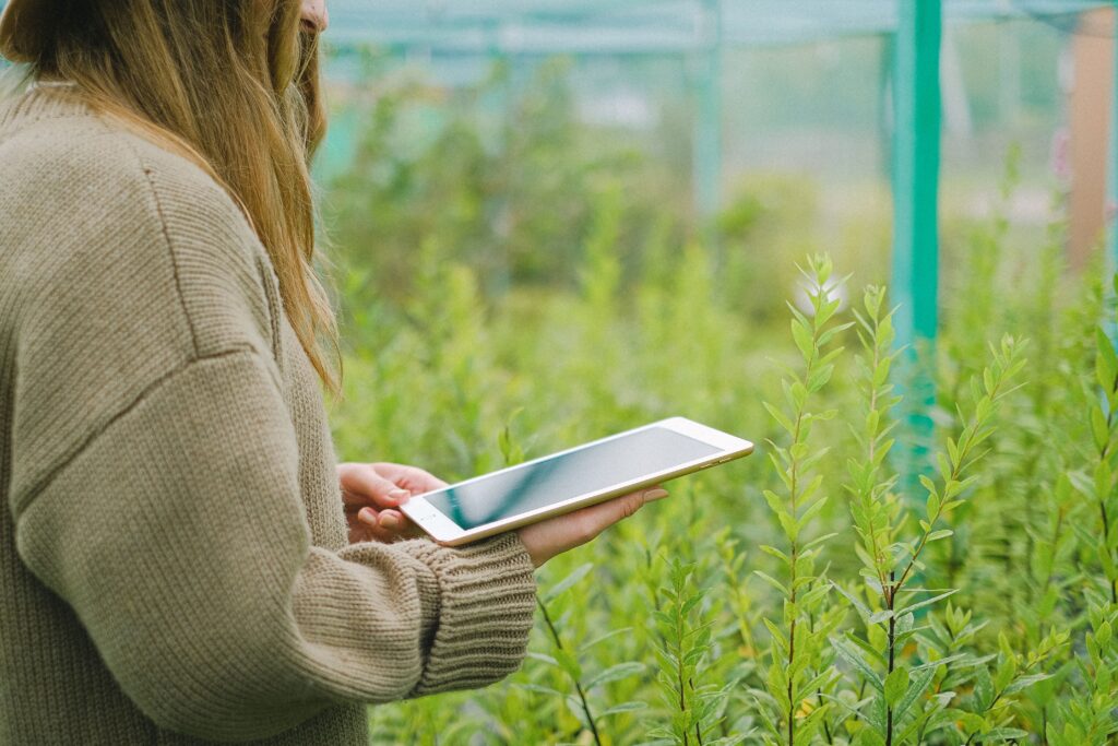 Side view of crop anonymous woman browsing modern tablet while standing among green plants in greenhouse